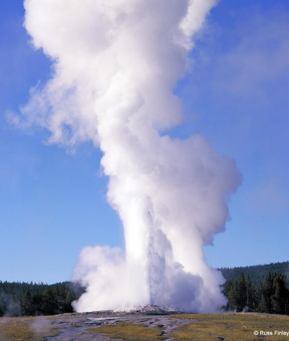 old faithful erupting