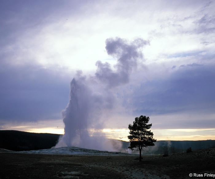 Old Faithful Erupting