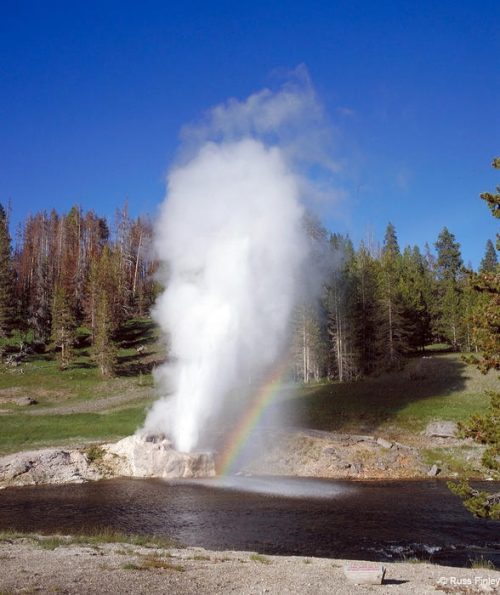 Yellowstone's Most Popular Geysers | Yellowstone Geysers