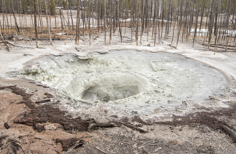 Cistern Spring