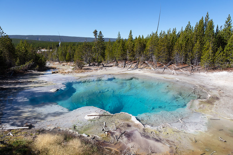 Emerald Spring