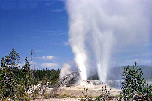 Union Geyser