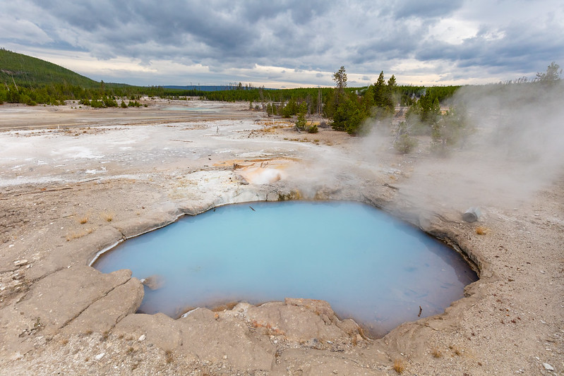 Veteran Geyser