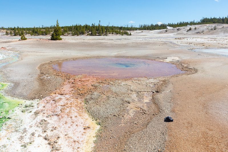 Whirligig Geyser