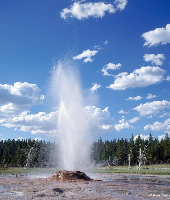 Pink Cone Geyser