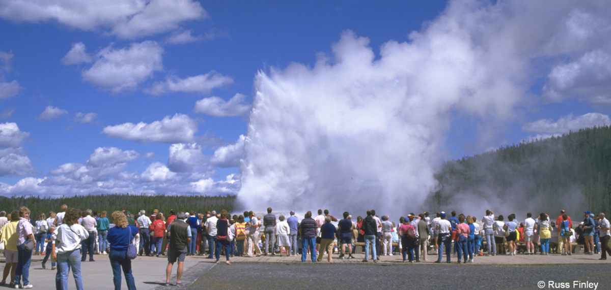 Old Faithful Erupting with a crowd of people