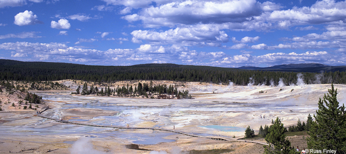 Norris geyser basin