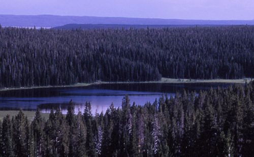 cascade lake