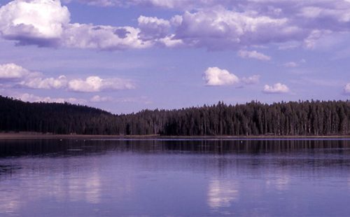 Grebe Lake