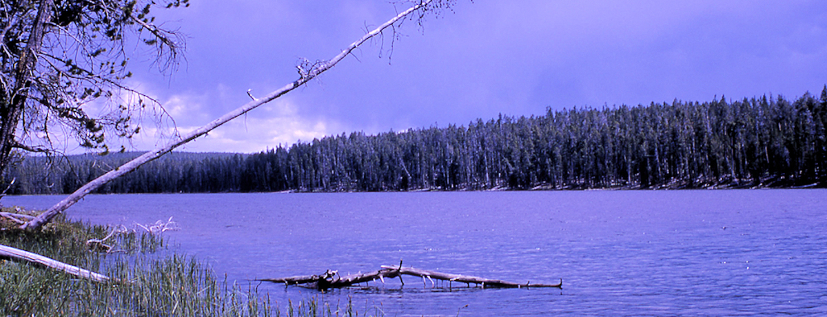 ice lake