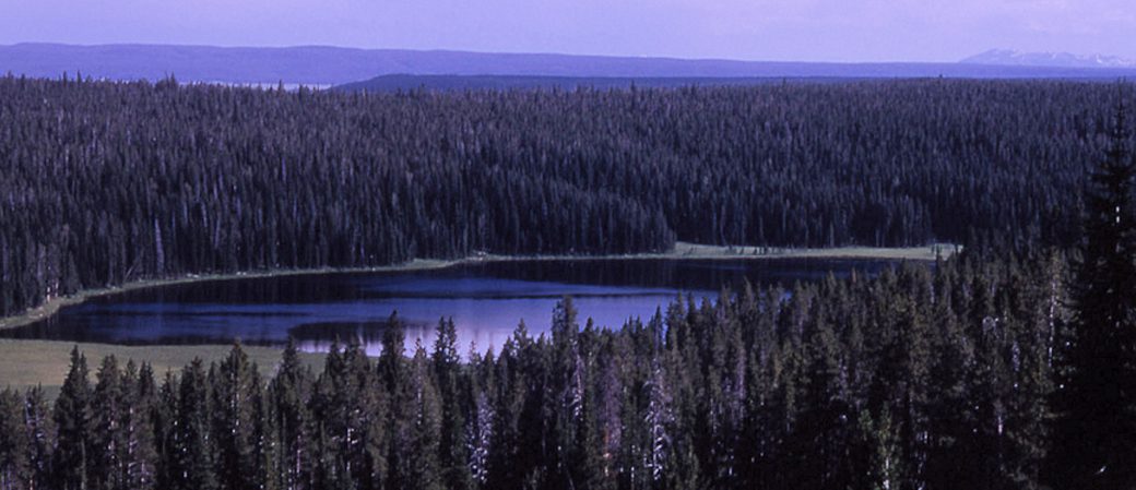 cascade lake