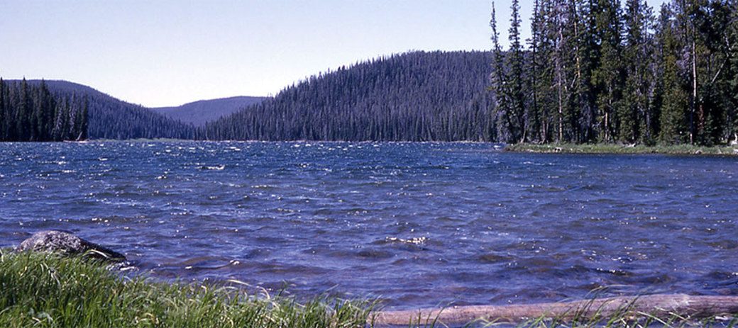 Grizzly Lake
