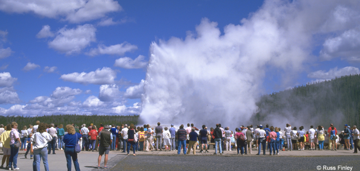 Old Faithful Geyser Erupting