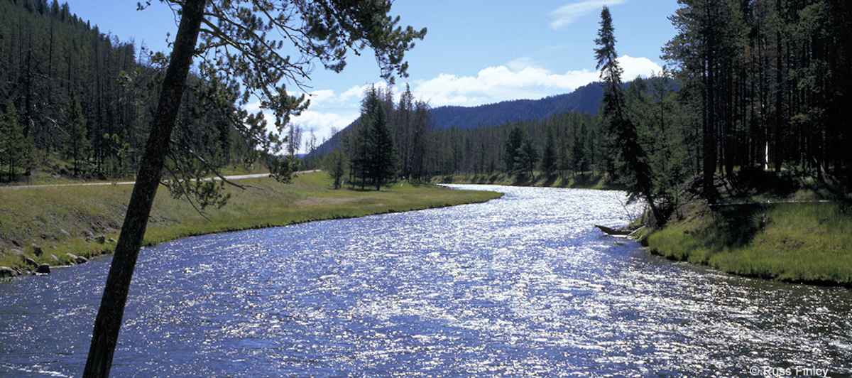 Madison River