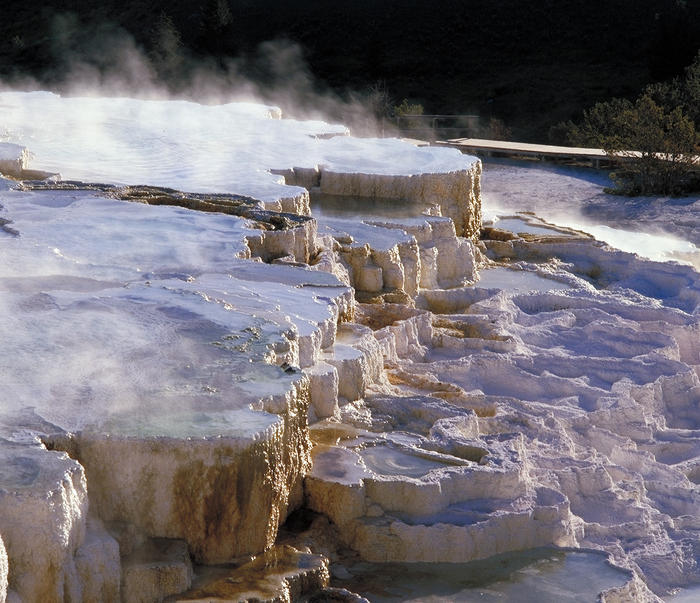 Mammoth hot spring terrace