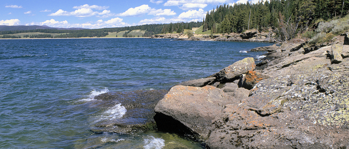 Yellowstone Lake Shoreline