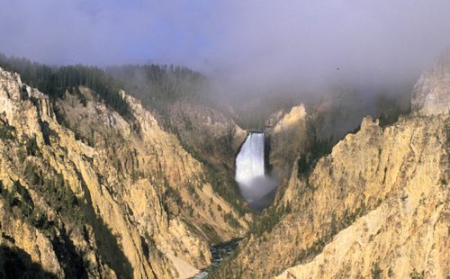 Lower Falls - Grand Canyon of the Yellowstone