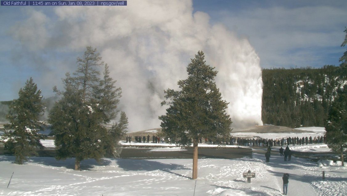 Yellowstone Park Webcams