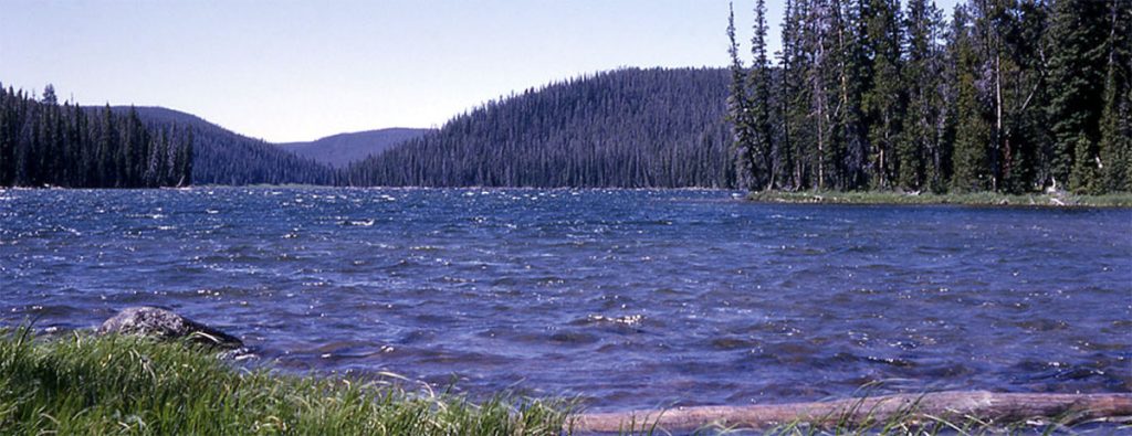 Grizzly Lake