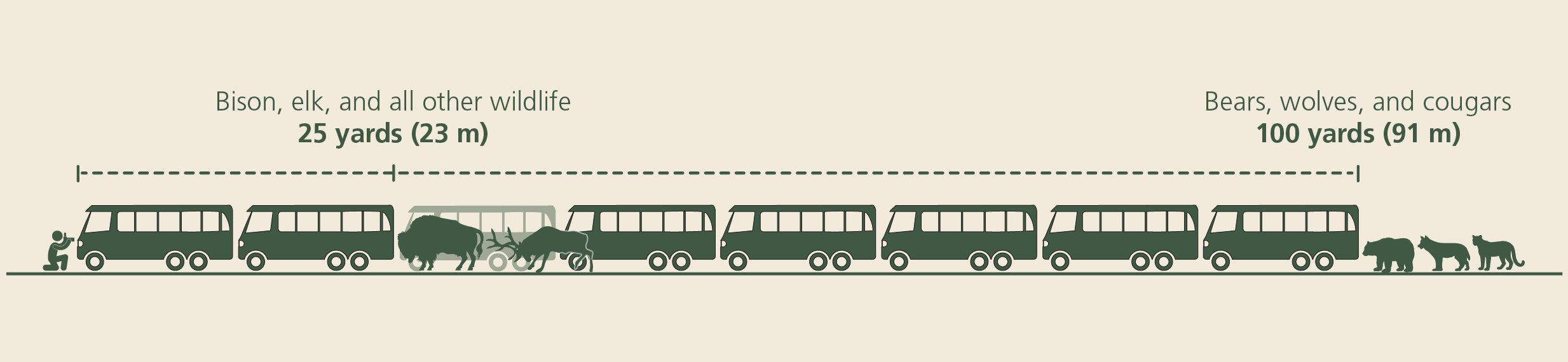 wildlife viewing distance graphic